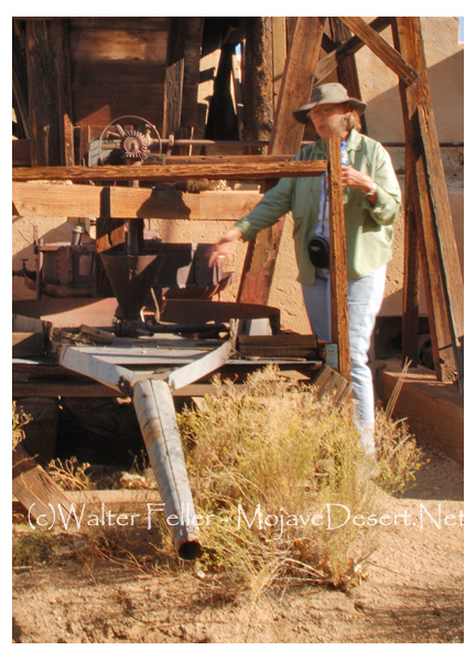Photo of Dr Joan Schneider at Joahua Tree National Park